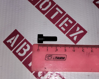 Болт М6*1,0 (L=16mm) с торцевой головкой М22 (модуль управления) 3906391 ISF 2.8